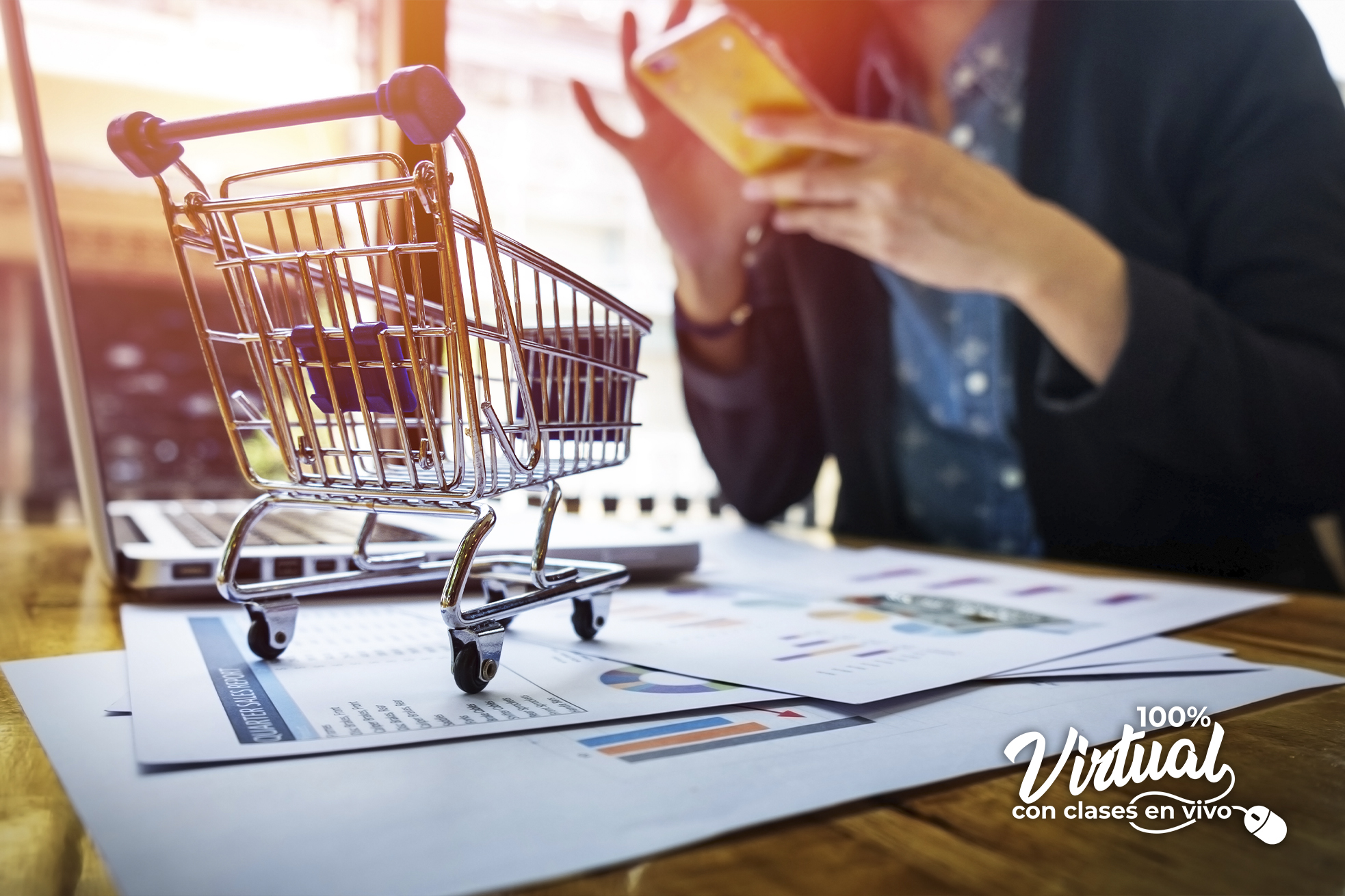 Diseño de páginas Web con E-Commerce